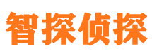 临泽寻人公司